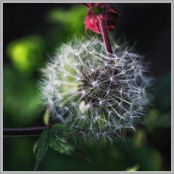 _small__IMG2483_1_DxO.webp