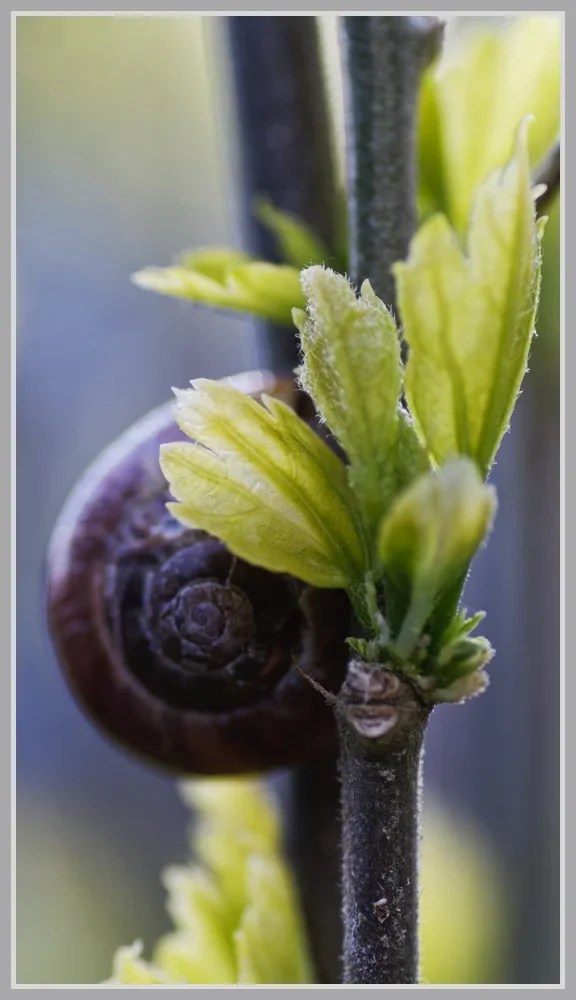 _small__IMG2485_1_DxO.JPG