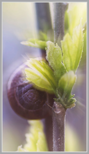 _small__IMG2485_1_Nik_DxO.JPG