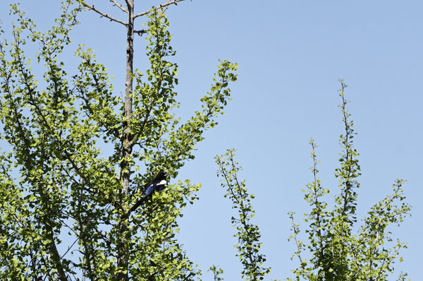 _IGP0254_DxO.jpg _IGP0254_DxO.jpg