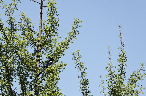 _IGP0263_DxO.jpg _IGP0263_DxO.jpg