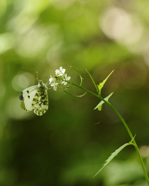 _IGP0302_DxO.jpg _IGP0302_DxO.jpg