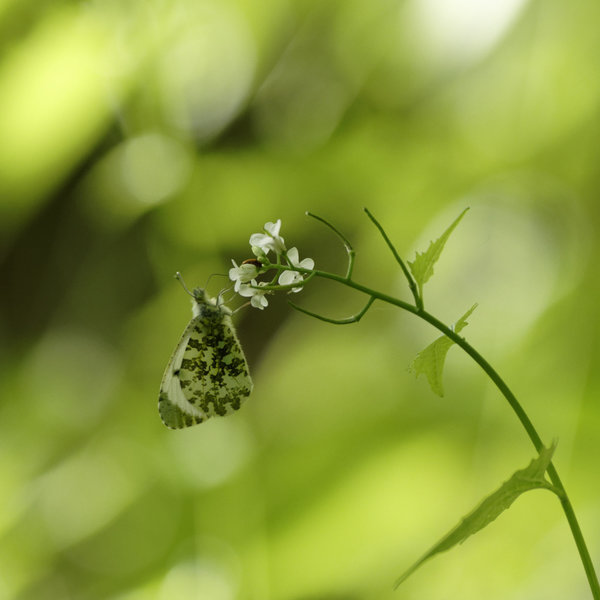 _IGP0313_DxO.jpg _IGP0313_DxO.jpg