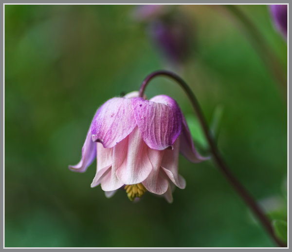 _small__IMG2487_1_DxO.JPG