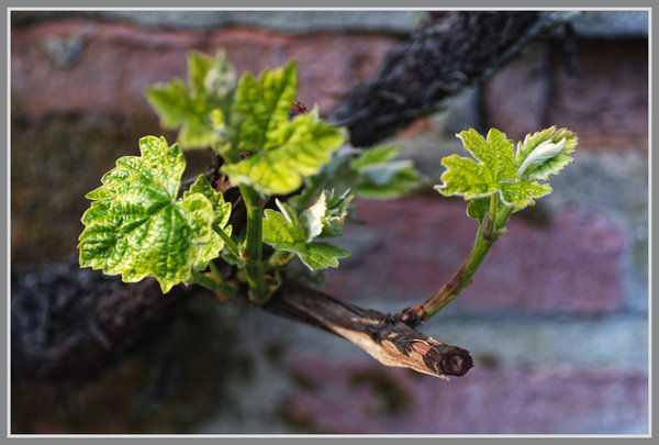 _small__IMG2489_DxO.JPG