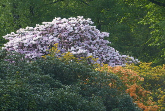 EINGANGS_BLICK.JPG