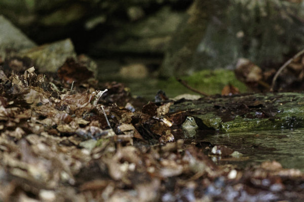 _IGP0334_DxO.jpg _IGP0334_DxO.jpg