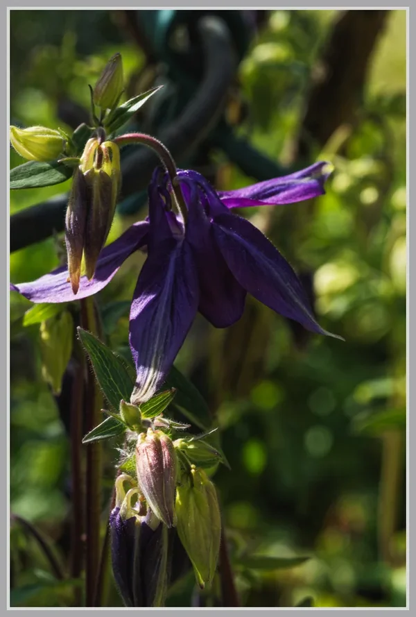 _small__IMG2507_1_DxO.webp