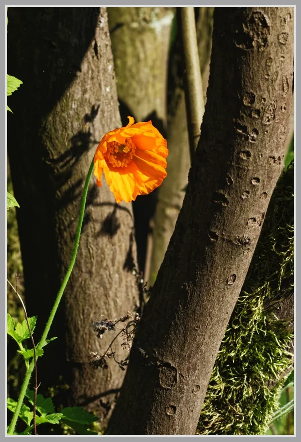 _small__IMG2540_1_DxO.webp