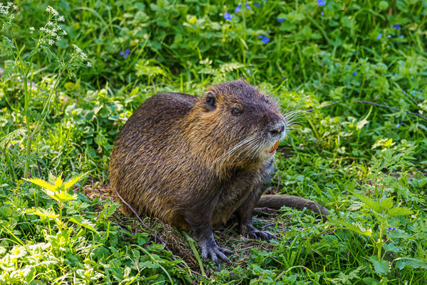 Beller Mühle 2020_466.jpg