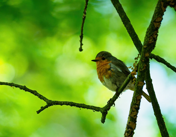 Beller Mühle 2020_452.jpg Beller Mühle 2020_452.jpg