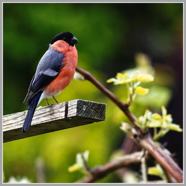 _small__IMG2557_1_DxO.webp