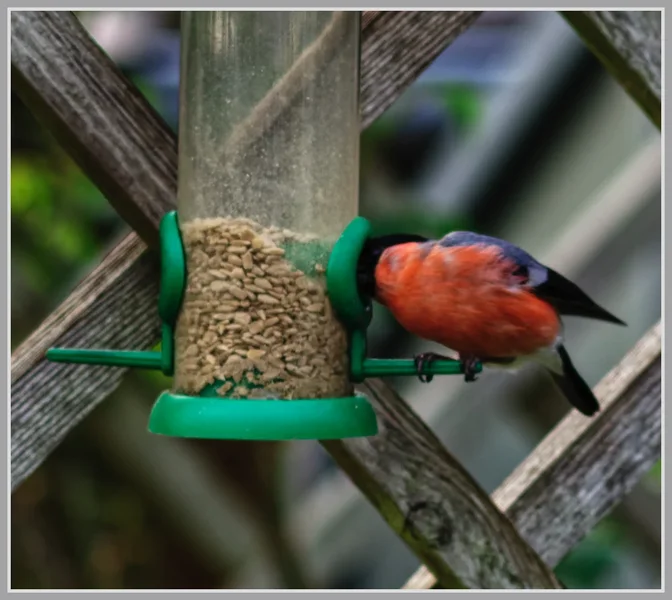 _small__IMG2563_1_DxO.webp