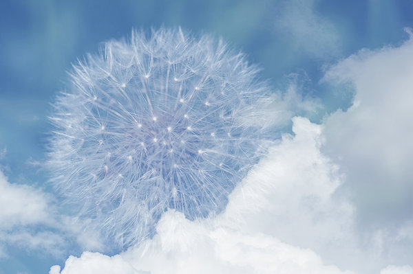 mystery-clouds-9528-1-1.jpg