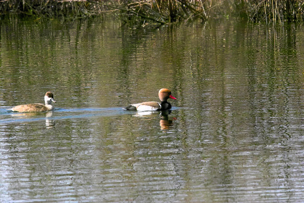 IMG13380.jpg