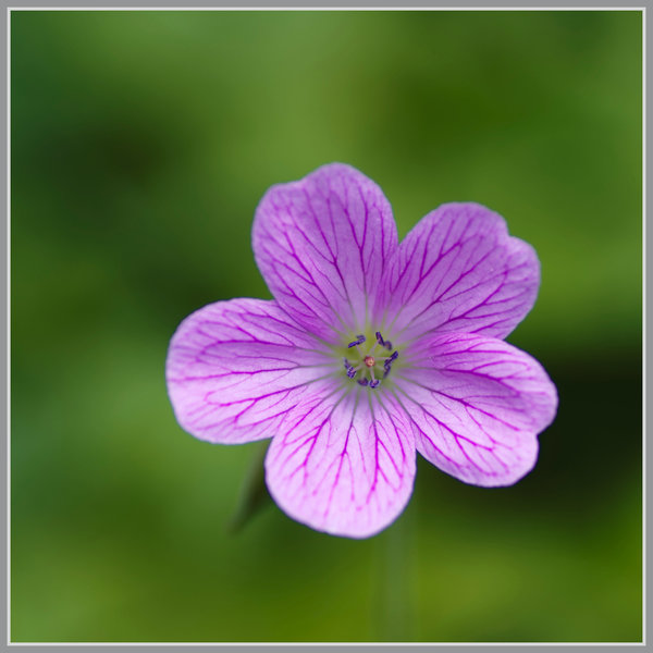 _small__IMG2607_1_DxO.JPG