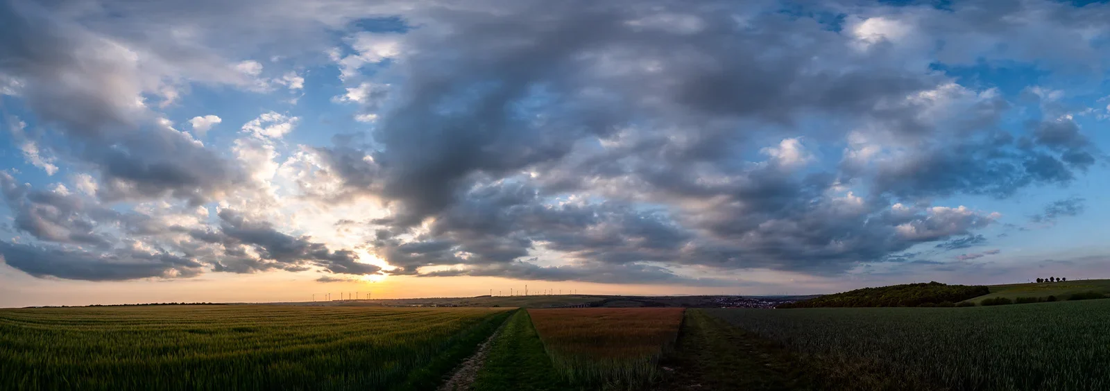 ci_PG9_6818-26_Pano.webp