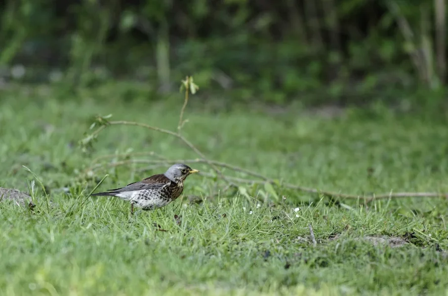 _IGP0998_DxO.webp