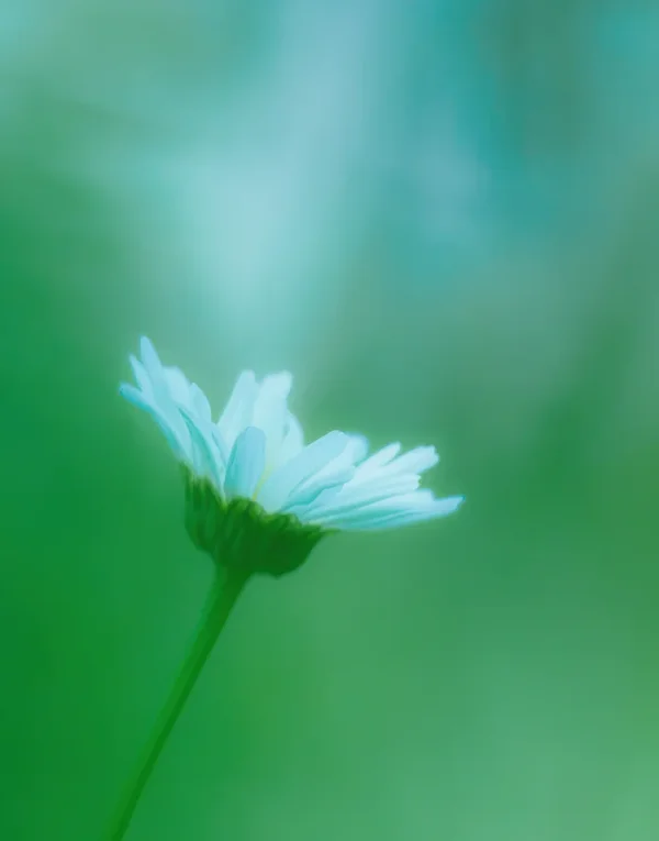 Garten 2020_385_2.webp