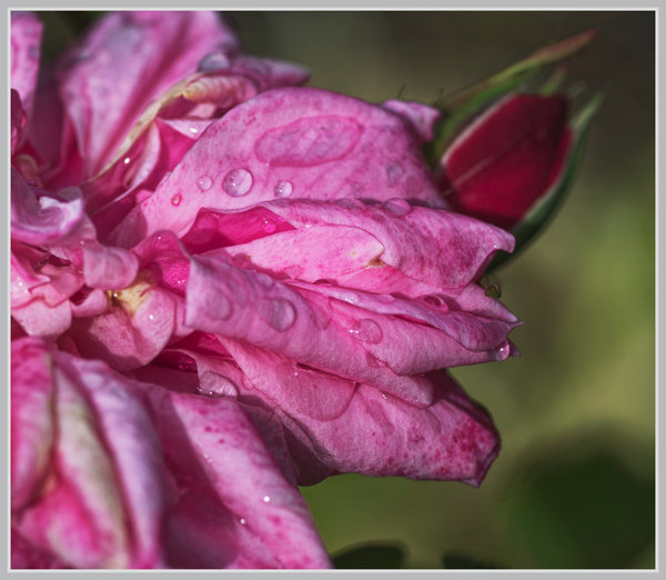 _small__IMG2725_1_DxO.JPG