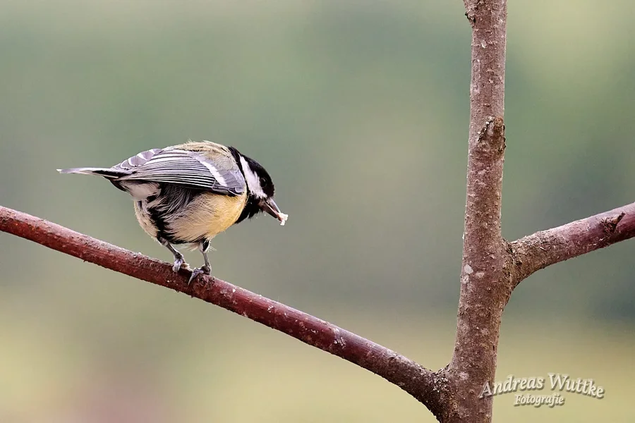 D75_0065_C1.webp