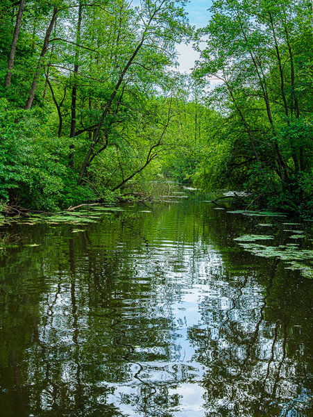 Hariksee 2020_376.jpg