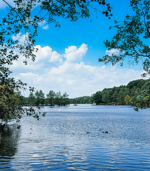 Hariksee 2020_380.jpg