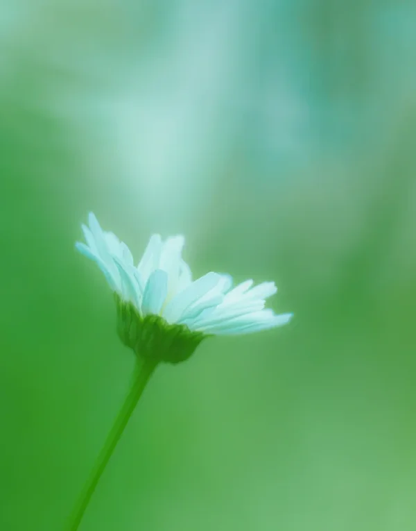 Garten 2020_385_3.webp