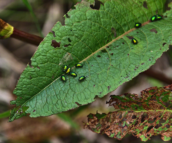 IMG15280-b.jpg IMG15280-b.jpg