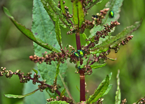 IMG15281-b.jpg IMG15281-b.jpg