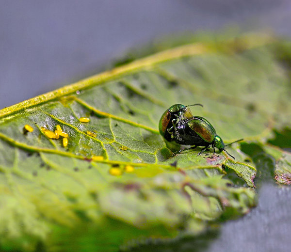 IMG15399-xx.jpg IMG15399-xx.jpg