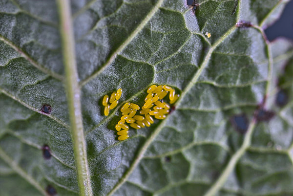 IMG15228.jpg IMG15228.jpg