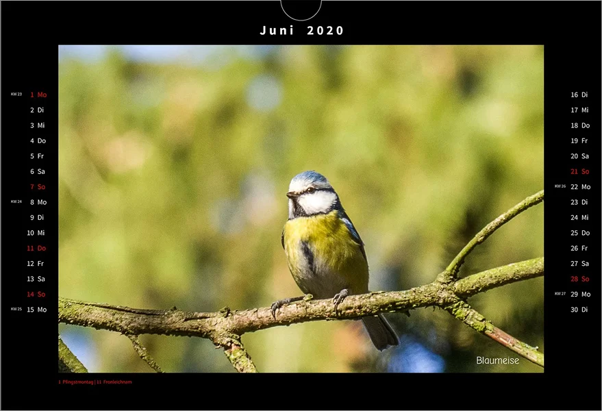 06-2 Juni.webp