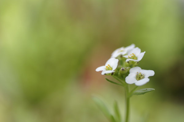 _IGP1195_DxO.jpg _IGP1195_DxO.jpg