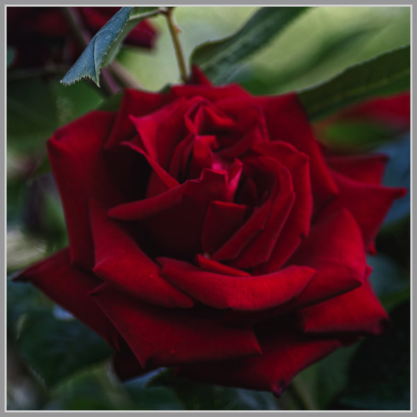 _small__IMG2762_1_DxO.JPG