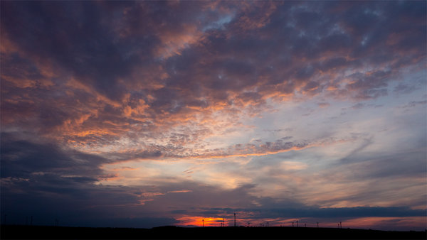 ci_PG9_7559.jpg