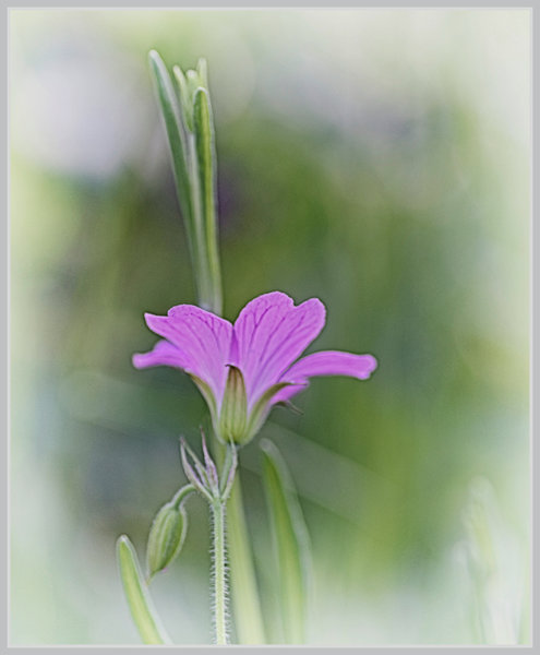 _small__IMG2773_Nik_HDR_DxO.JPG