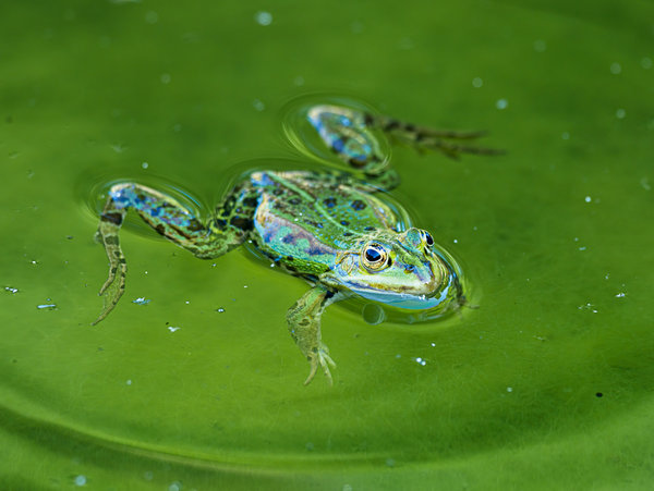 Naturschutzhof 2020_050.jpg