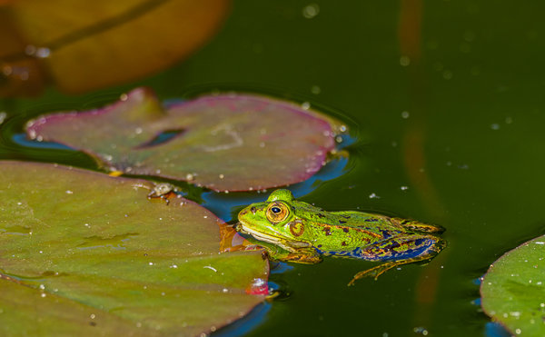 Naturschutzhof 2020_093.jpg