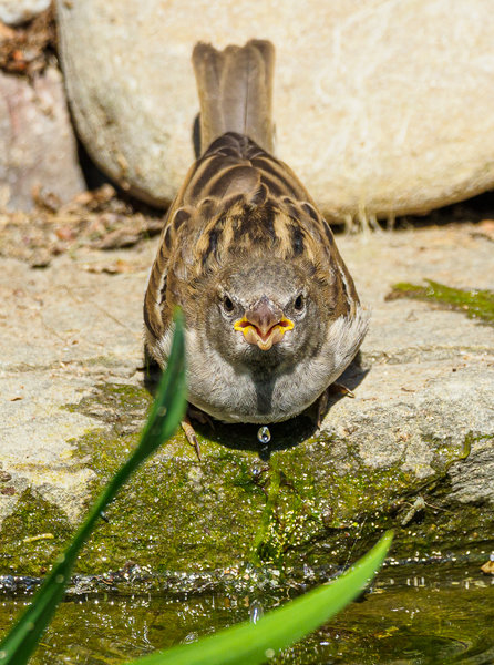 Naturschutzhof 2020_205.jpg