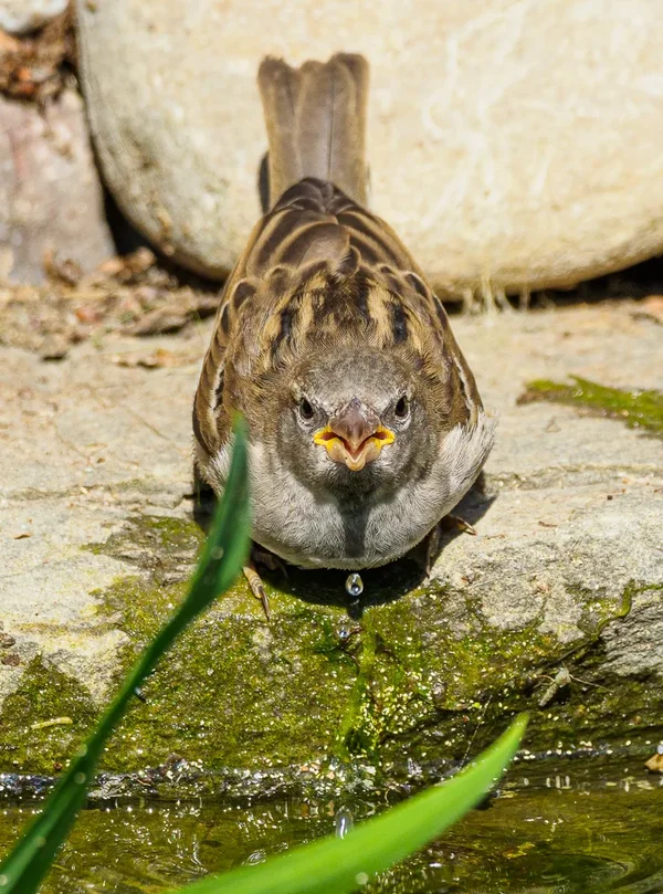 Naturschutzhof 2020_205.jpg