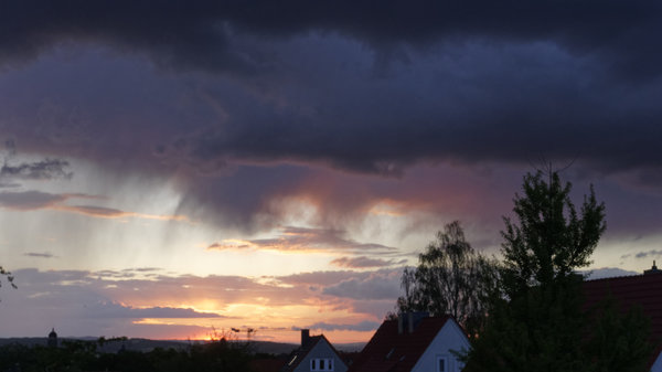 _IGP1207_DxO.jpg _IGP1207_DxO.jpg