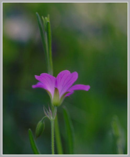 _small__IMG2773_1_Nik.JPG