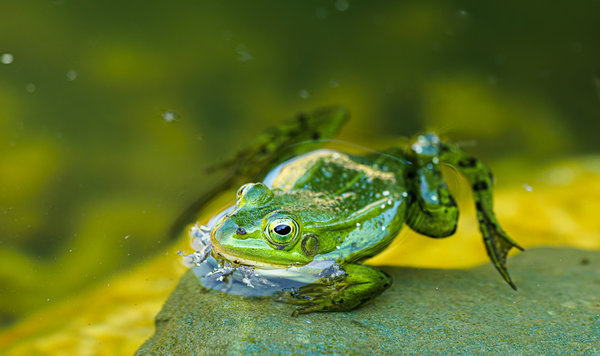 Naturschutzhof 2020_034_2.jpg