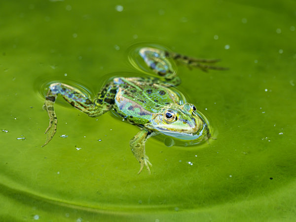 Naturschutzhof 2020_050_2.jpg