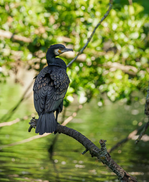 Beller Mühle Park 2020_494.jpg
