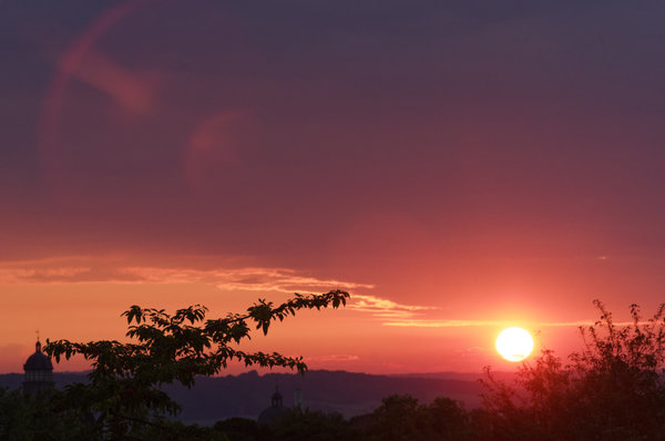 _IGP1214_DxO.jpg _IGP1214_DxO.jpg