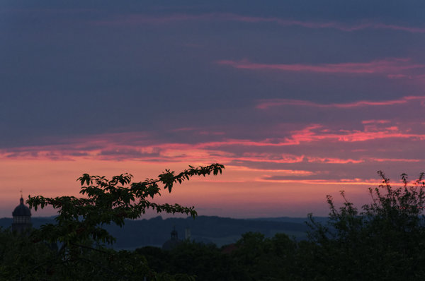 _IGP1218_DxO.jpg _IGP1218_DxO.jpg