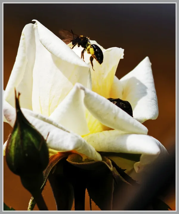 _small__IMG2808_1_DxO.webp