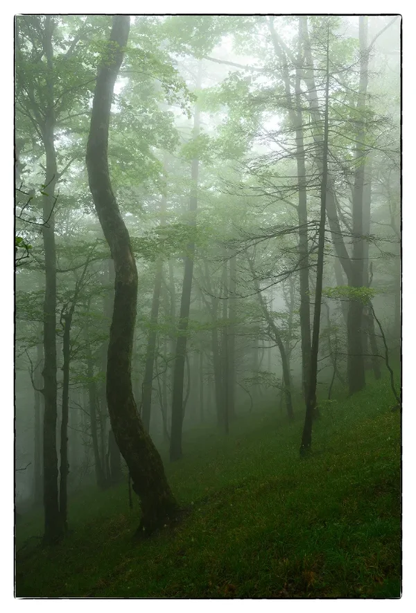 DSC_3387.webp